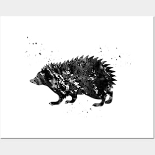 Hedgehog Art Posters and Art